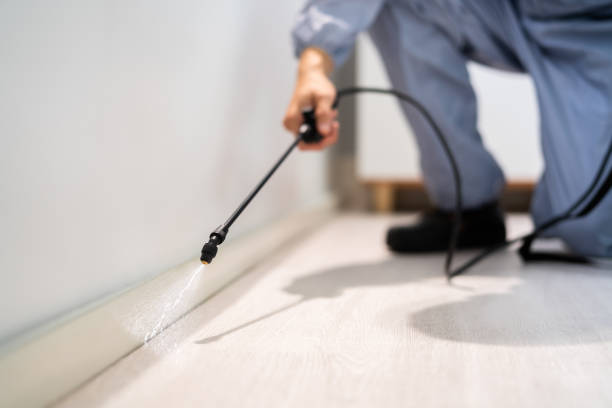 Licensed Pest Control service in Forestville, OH - Nex Pest Control