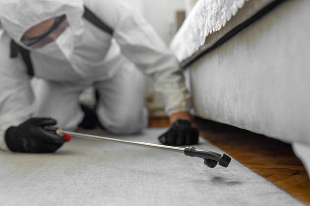 Professional Pest Control technician working in Forestville, OH