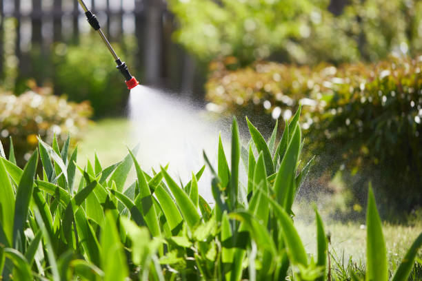 24/7 Emergency Cockroach Control experts in Forestville, OH