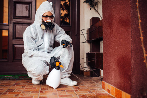 Reliable Cockroach Control contractor in Forestville, OH by Nex Pest Control